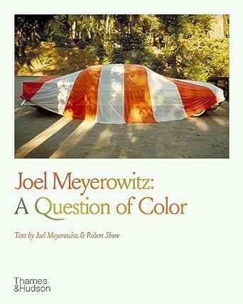 A Question of Colour - Joel Meyerowitz