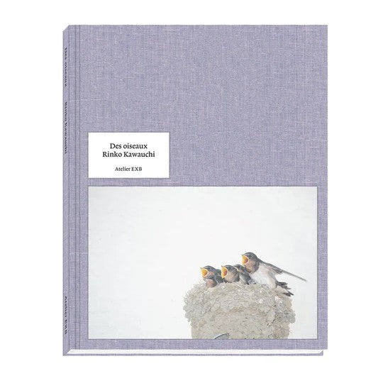 Des Oiseaux - Rinko Kawauchi