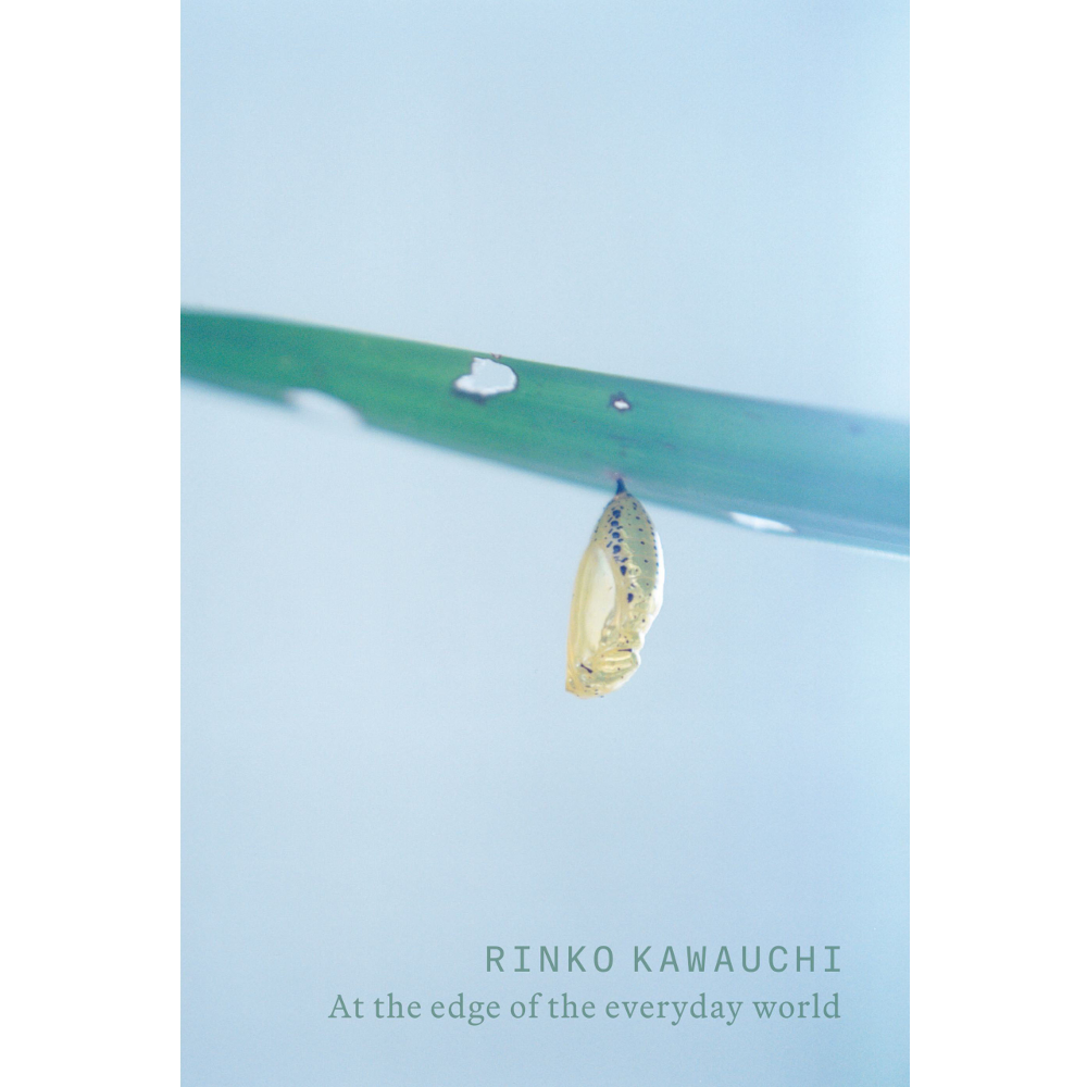 Rinko Kawauchi: At the Edge of the Everyday World Exhibition Catalogue