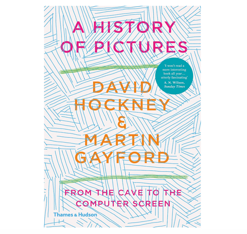A History of Pictures: From the Cave to the Computer Screen - David Hockney & Martin Gayford